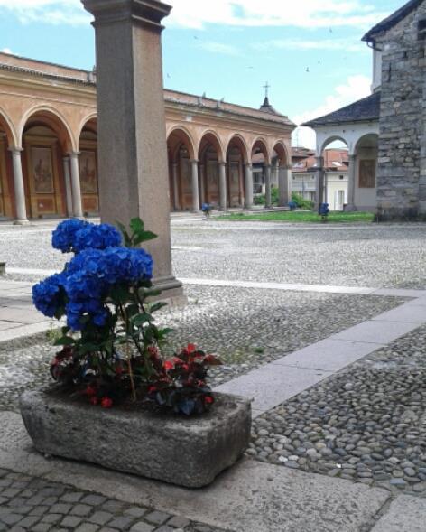 Hotel Elvezia Lake Maggiore Eksteriør bilde